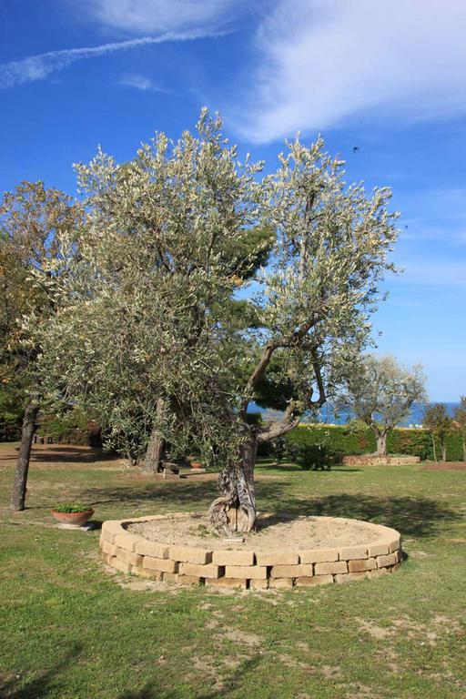 Villa Dolcevita San Costanzo Zewnętrze zdjęcie